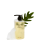 a5c54a6202b2ec5a9e0c7b347d411c00.png